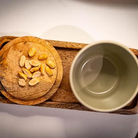 公寓 Konzul 普拉