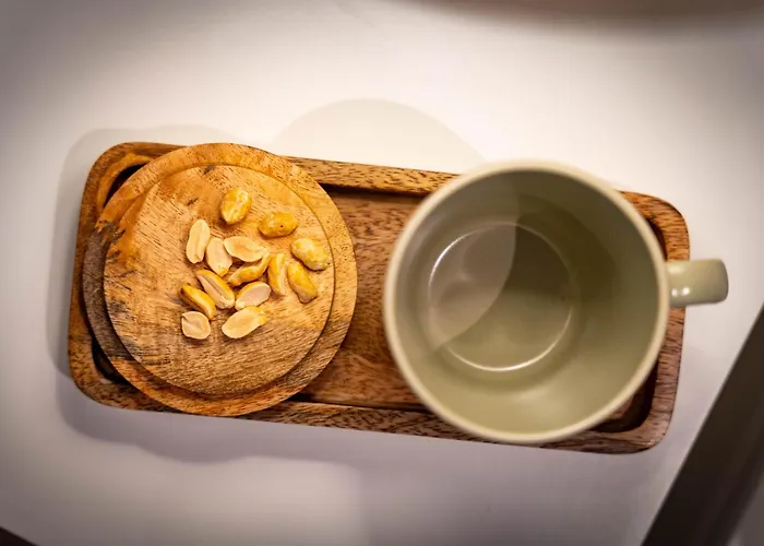 公寓 Konzul 普拉