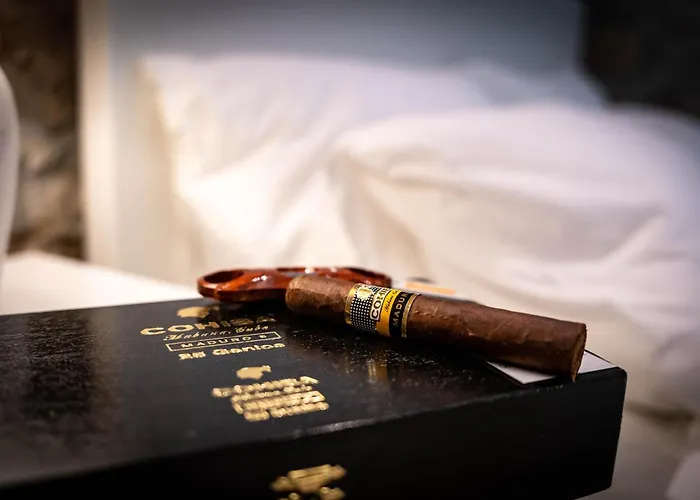 公寓 Konzul 普拉